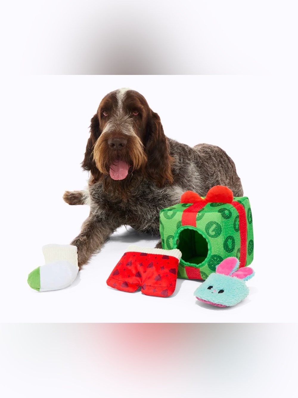 Bark Box Holly Day’s Presents XL Multi-part toy NEW just released!!